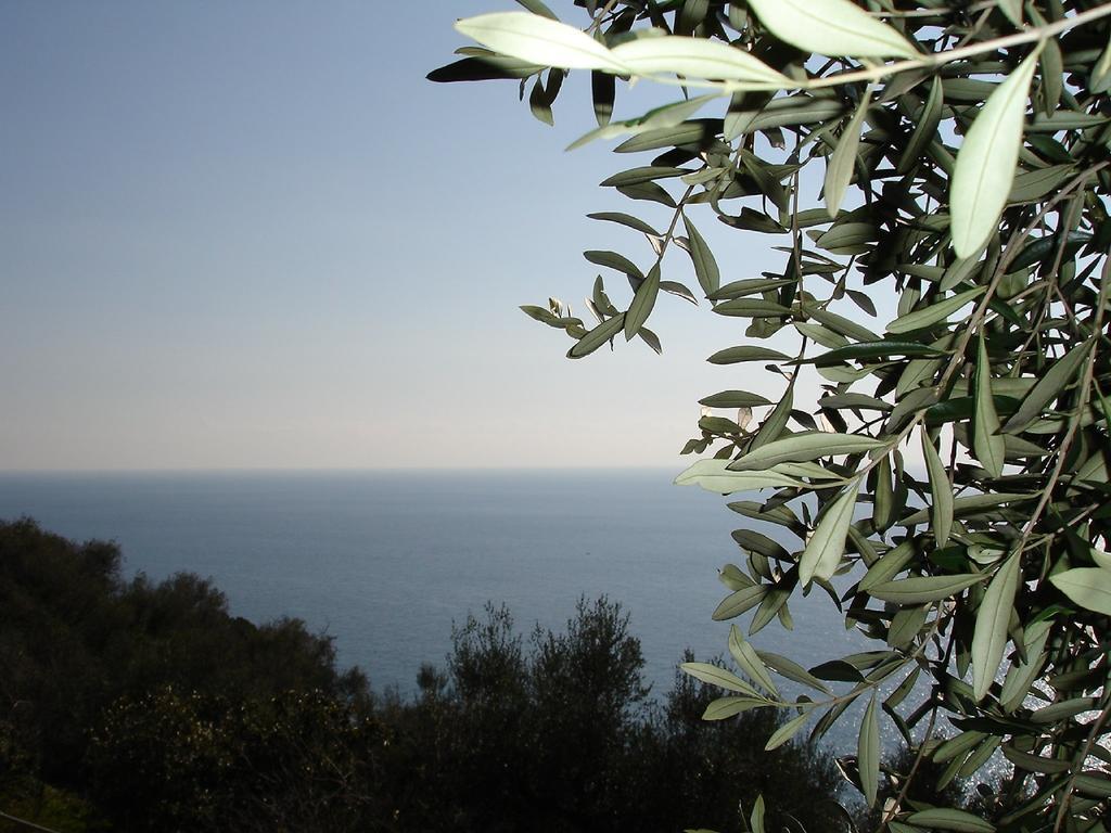Villa Imperia Exterior foto